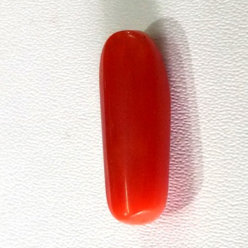 Natural Red Coral (Moonga) - 5.85 carats