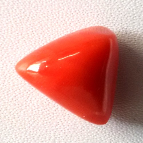 Natural Triangular Red Coral (Moonga) - 9.20 carats