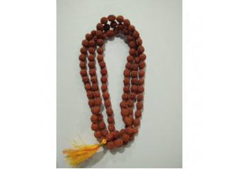What is a rudraksha? What are its benefits?