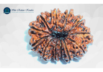 What Is the Significance of the Rudraksha? 