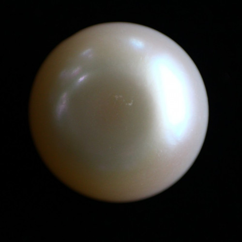 Natural Pearl (Moti) - 12.26 carats