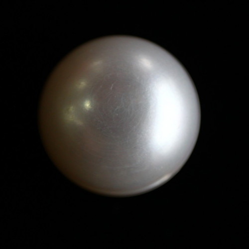 Natural Pearl (Moti) - 13.55 carats