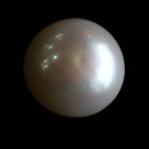Natural Pearl (Moti) - 14.62 carats
