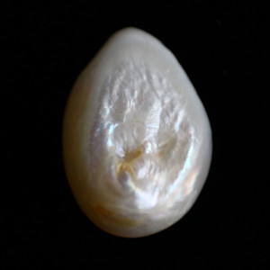 Natural Pearl (Moti) - 8.44 carats