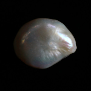Natural Pearl (Moti) - 8.48 carats