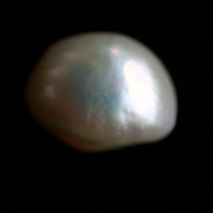 Natural Pearl (Moti) - 8.48 carats