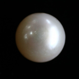 Natural Pearl (Moti) - 7.25 carats