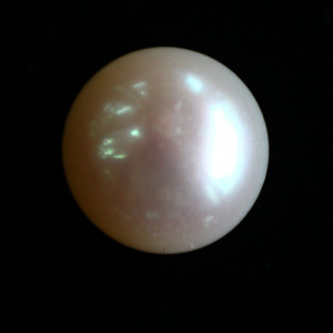 Natural Pearl (Moti) - 6.55 carats