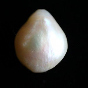 Natural Pearl (Moti) - 6.77 carats