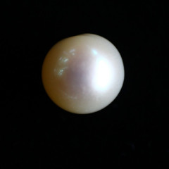 Natural Pearl (Moti) - 4.7 carats