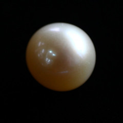 Natural Pearl (Moti) - 5.11 carats