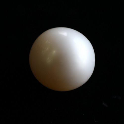 Natural Pearl (Moti) - 5.71 carats