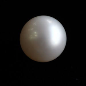 Natural Pearl (Moti) - 5.56 carats