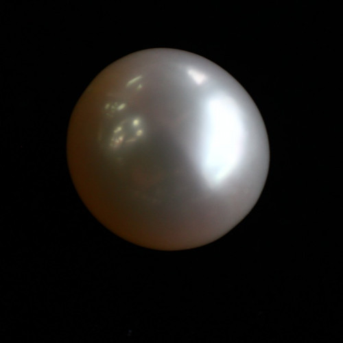 Natural Pearl (Moti) - 4.59 carats