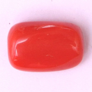 Natural Red Coral (Moonga) - 11.03 carats